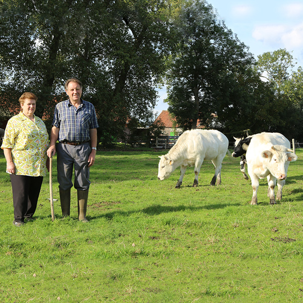 Ouders van Chris op de hoeve bij de koeien